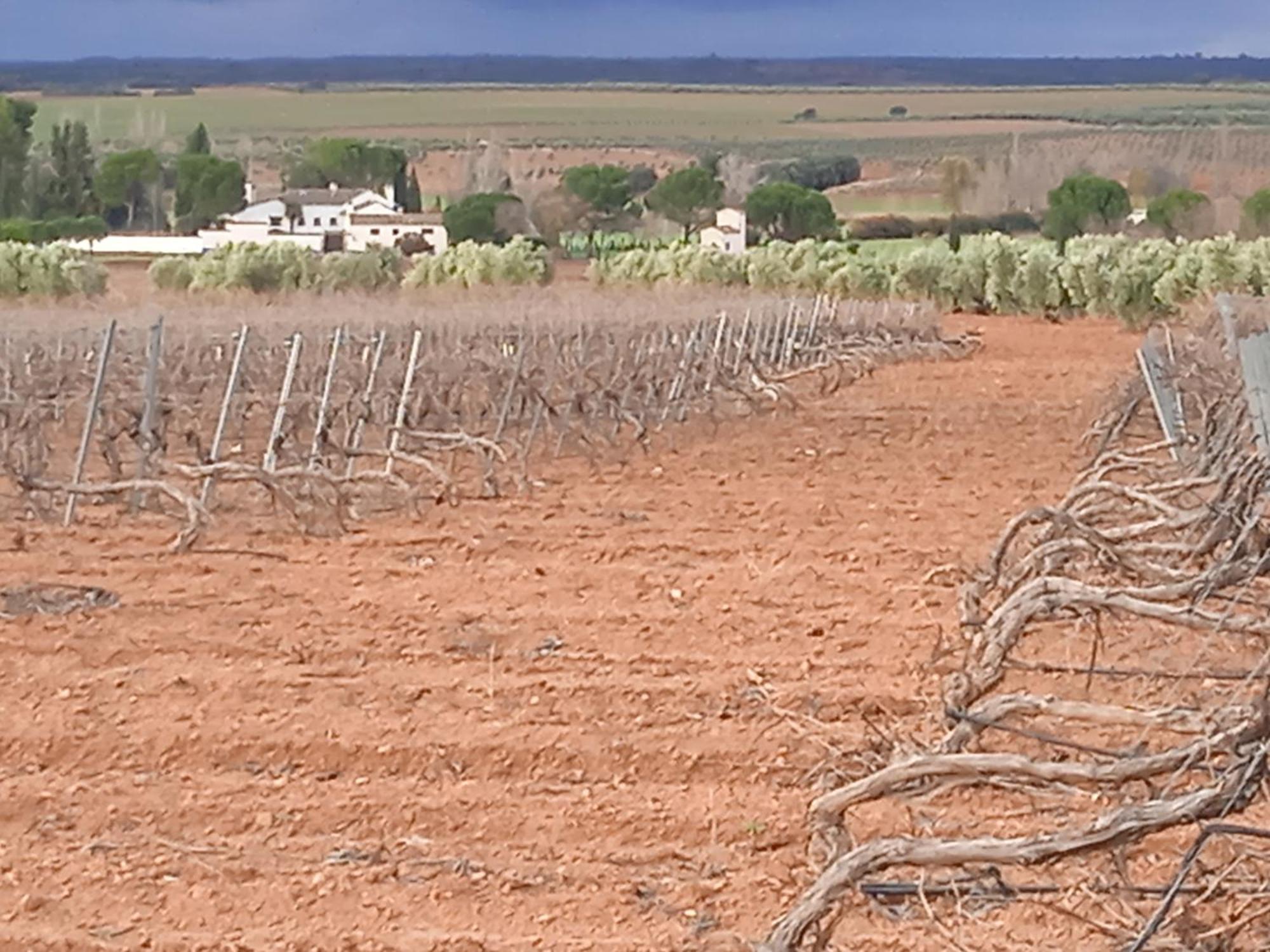 Casa Rural Senorio De Quevedo Villanueva De Los Infantes Eksteriør bilde