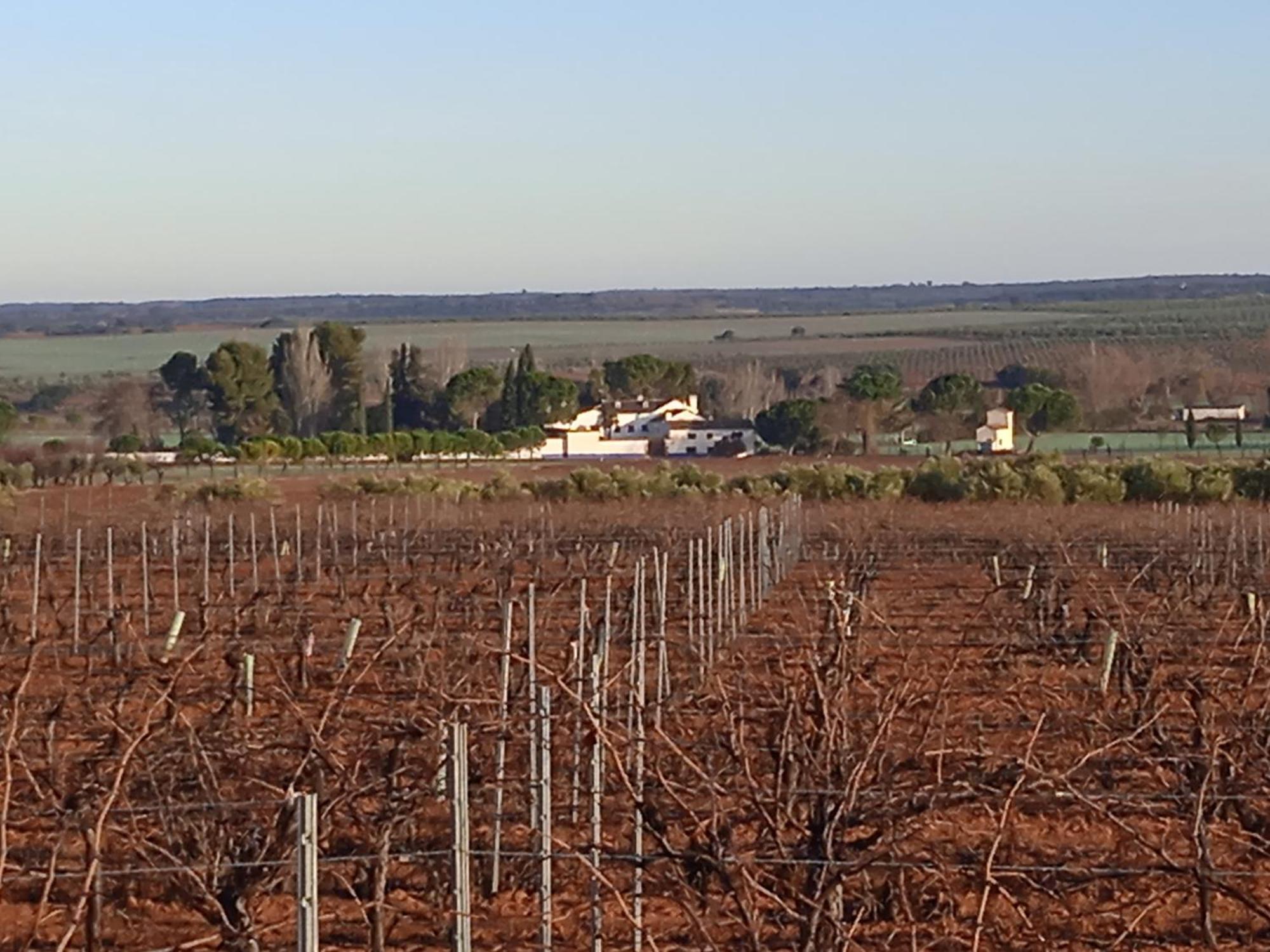 Casa Rural Senorio De Quevedo Villanueva De Los Infantes Eksteriør bilde